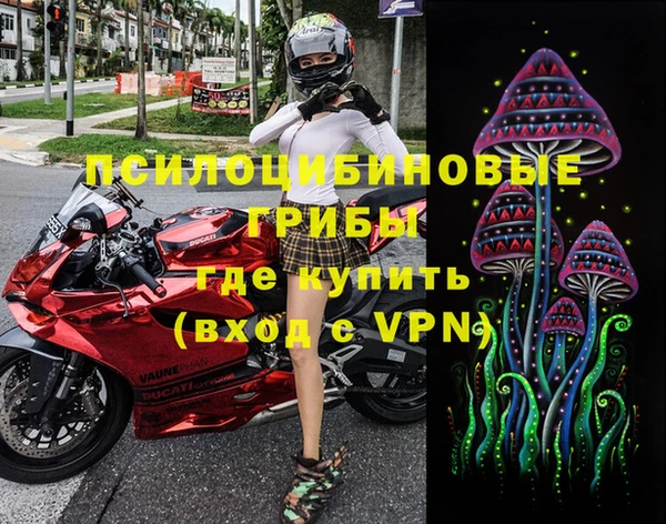 МДПВ Мегион