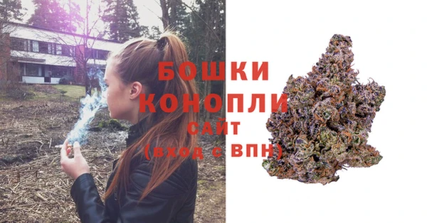 apvp Медвежьегорск