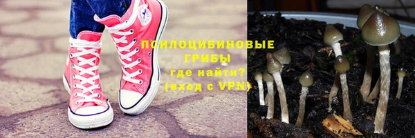 МДПВ Мегион