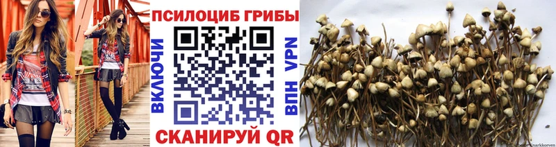 МЕГА как войти  Менделеевск  Галлюциногенные грибы ЛСД 