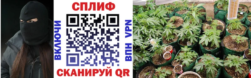 Канабис гибрид Менделеевск